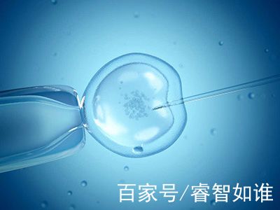 单身生育力保存
